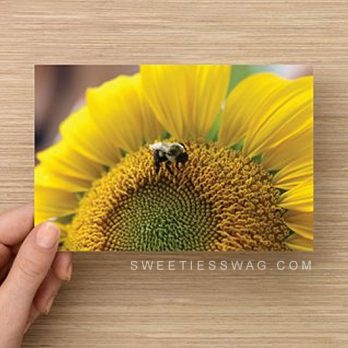 4 x 6" Postcards for Entering Mail-in Sweepstakes - Sunflower (Qty. 50)