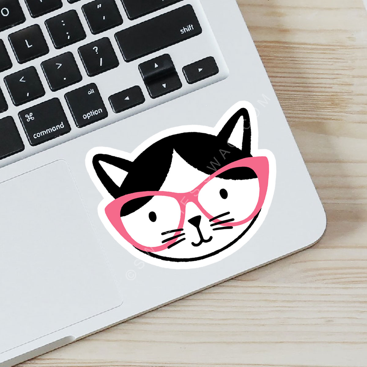 Cat with Pink Glasses Waterproof Laptop Bottle Sticker